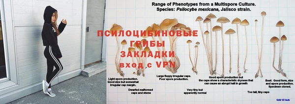 эйфоретик Алексин