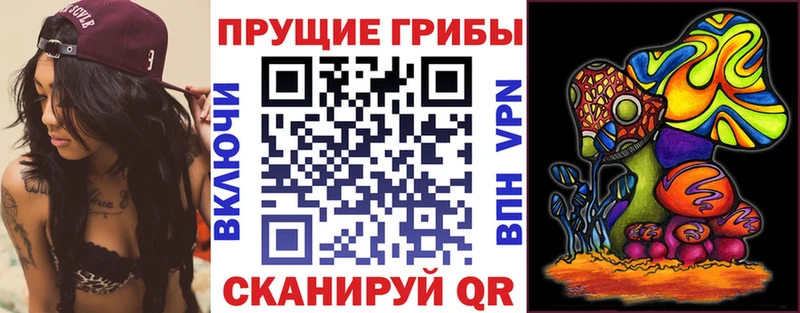 Галлюциногенные грибы мухоморы  блэк спрут сайт  Менделеевск 