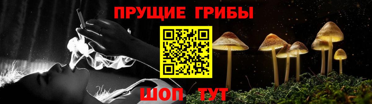 Псилоцибиновые грибы GOLDEN TEACHER Менделеевск